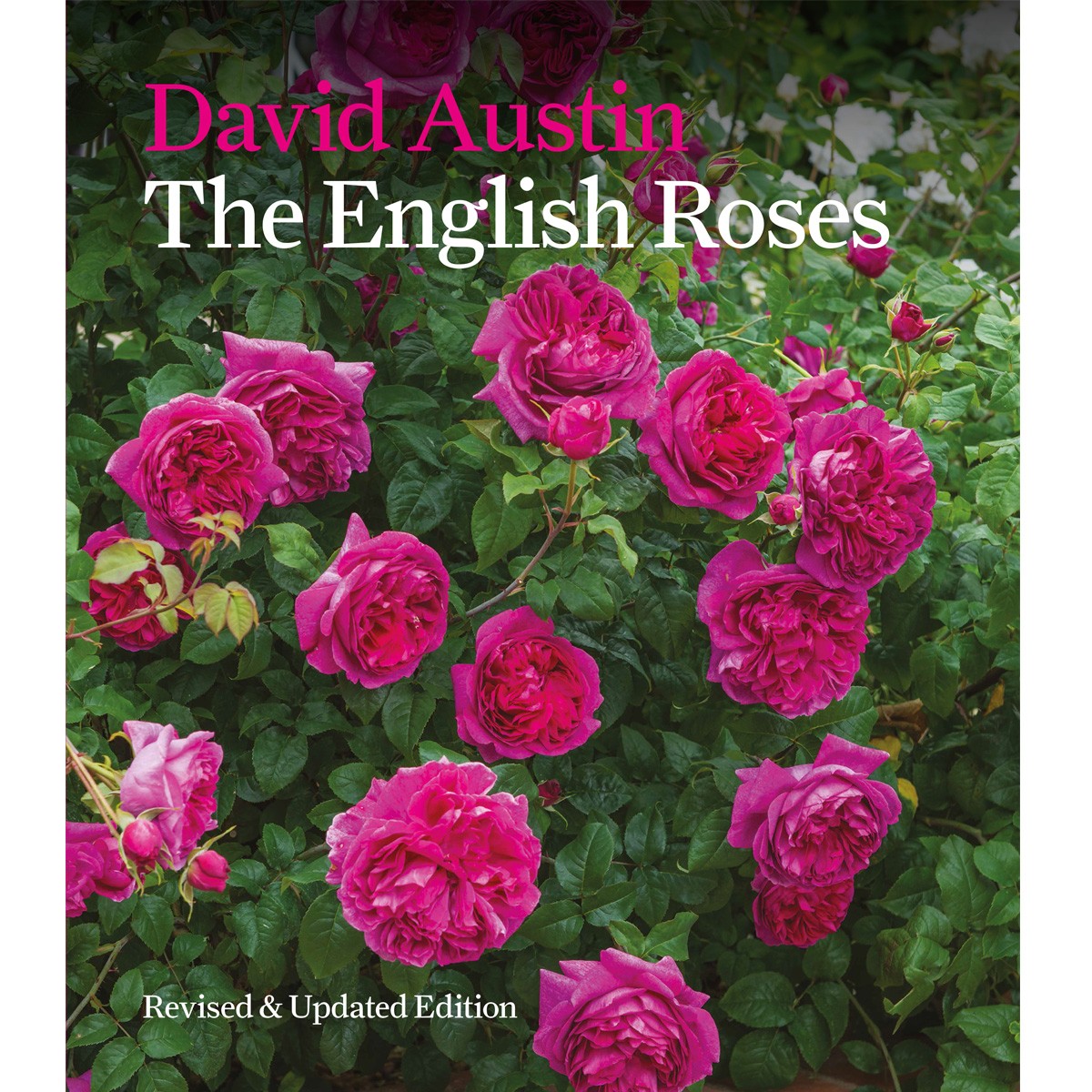 David Austin Book 2017 1200x1200 